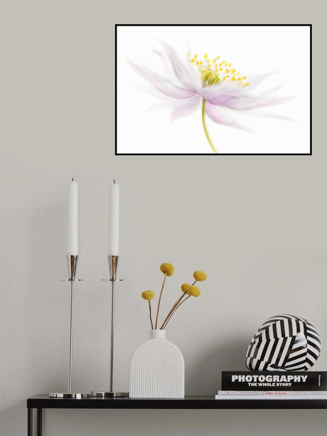 *Nemorosa* Poster och Canvastavla