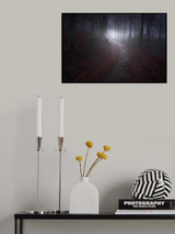 Path to the light Poster och Canvastavla