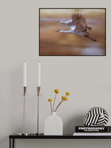 Morning flying out Poster och Canvastavla