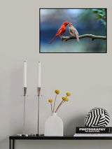 Spring Romance Poster och Canvastavla