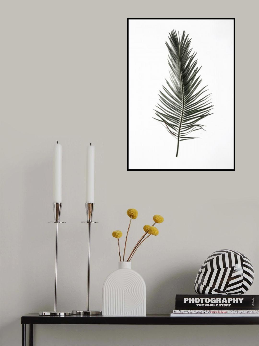 Leaf Study 03 Poster och Canvastavla