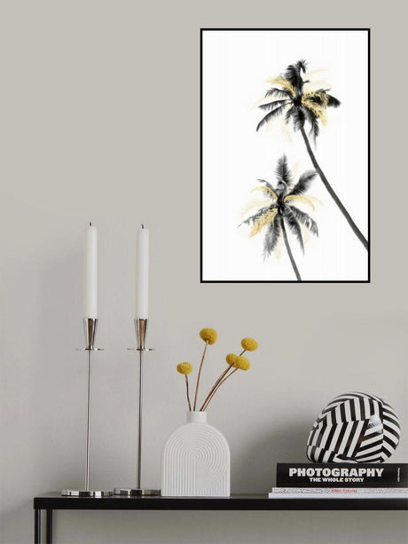 Palm Tree Black, White and Gold 02 Poster och Canvastavla