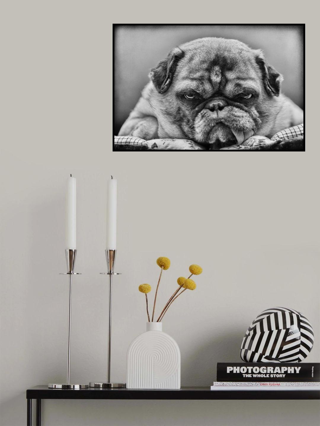 The Boss Poster och Canvastavla