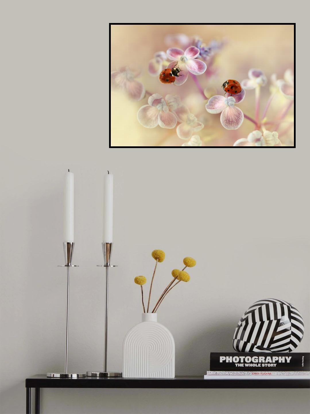 Ladybirds and hydrangea Poster och Canvastavla