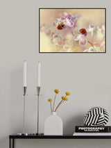 Ladybirds and hydrangea Poster och Canvastavla