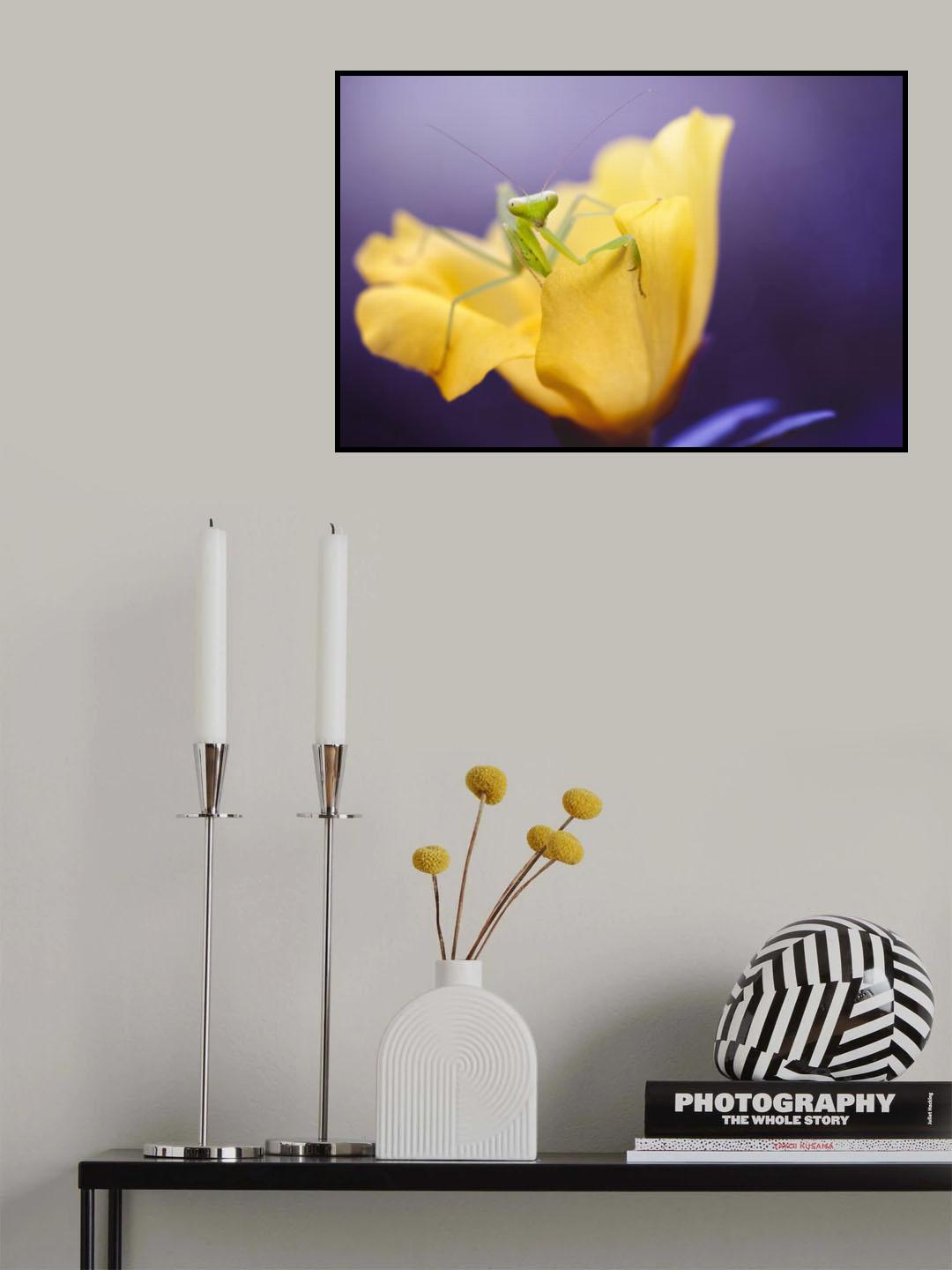 Introducing Mr.Mantis Poster och Canvastavla