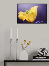 Introducing Mr.Mantis Poster och Canvastavla