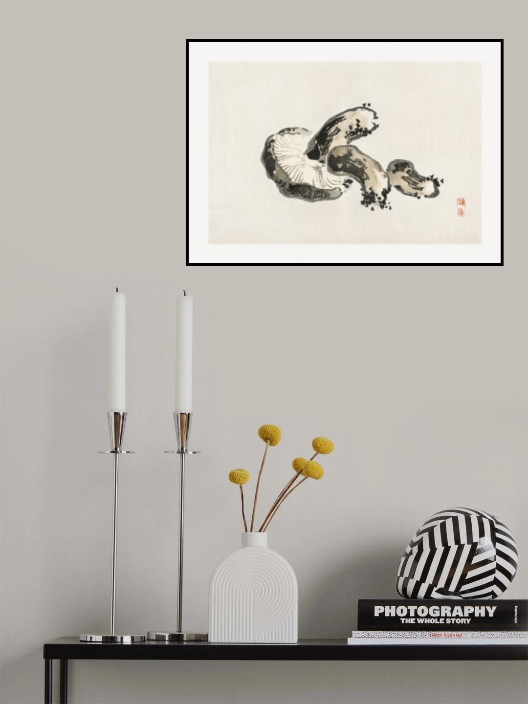Shitake Mushroom Poster och Canvastavla