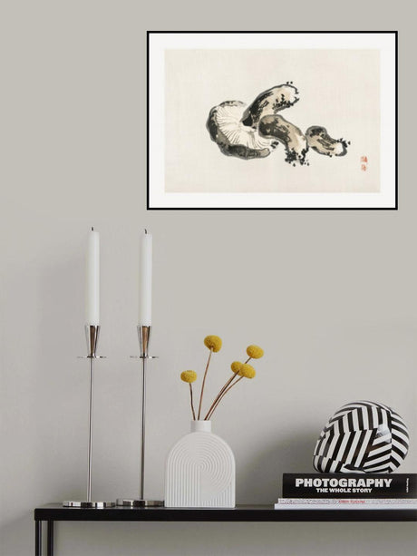 Shitake Mushroom Poster och Canvastavla