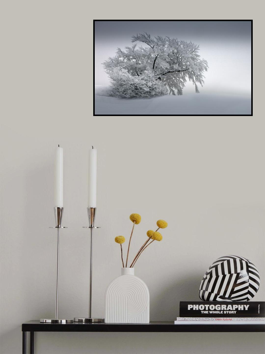 SNOW_BAUM Poster och Canvastavla