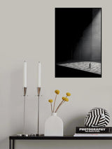 Out of shadows Poster och Canvastavla