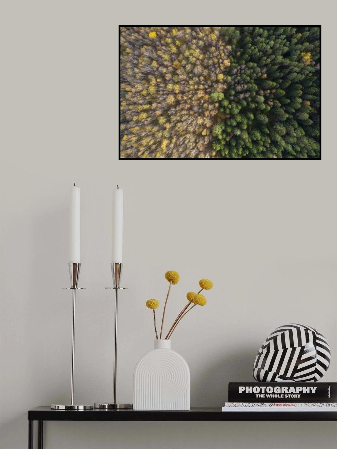 Two forests Poster och Canvastavla