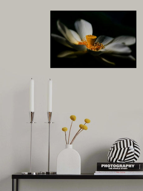 A Lotus, Softly Poster och Canvastavla