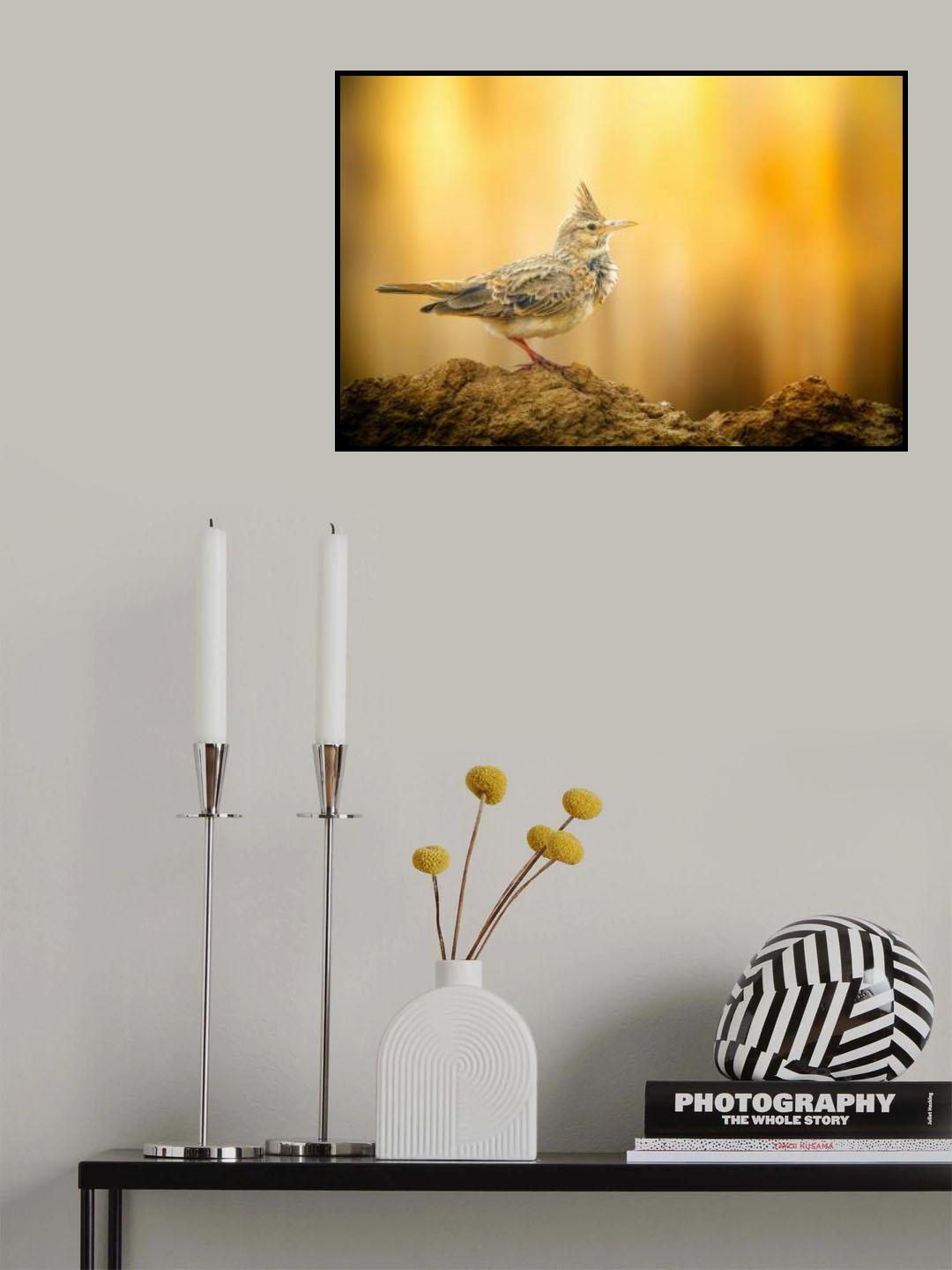 Golden Moment Poster och Canvastavla