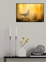 Golden Moment Poster och Canvastavla