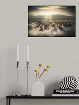Wild Horses Poster och Canvastavla