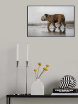 Walking on water Poster och Canvastavla