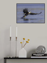 Catching Fish Poster och Canvastavla
