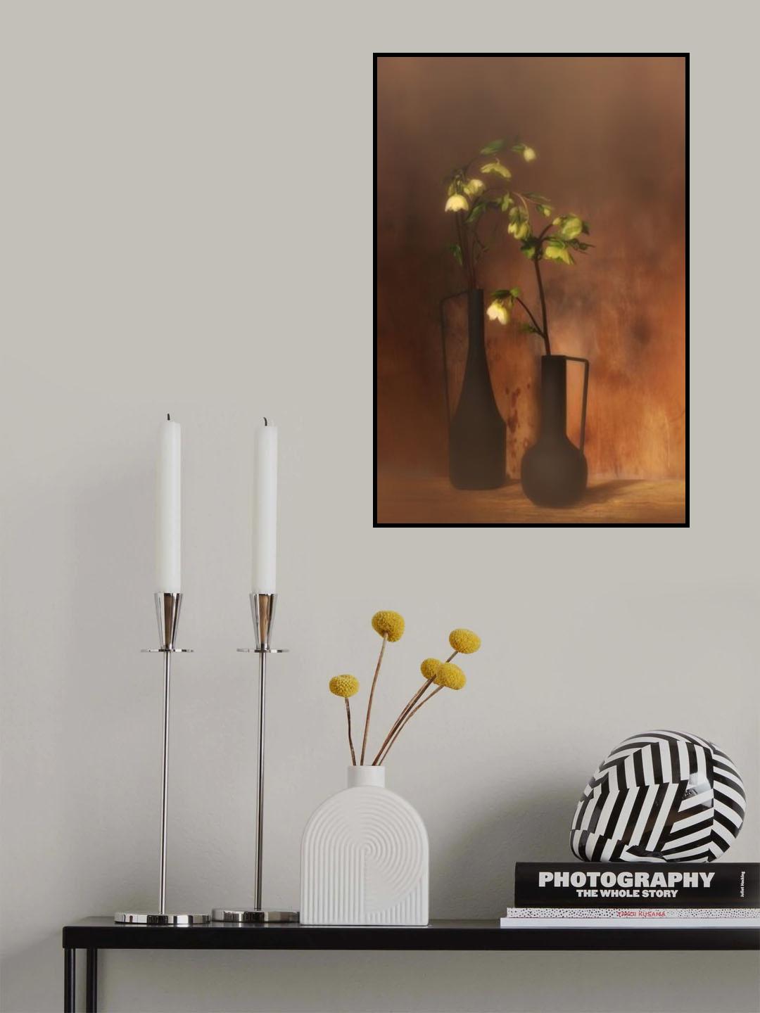 Hellebores Niger Poster och Canvastavla