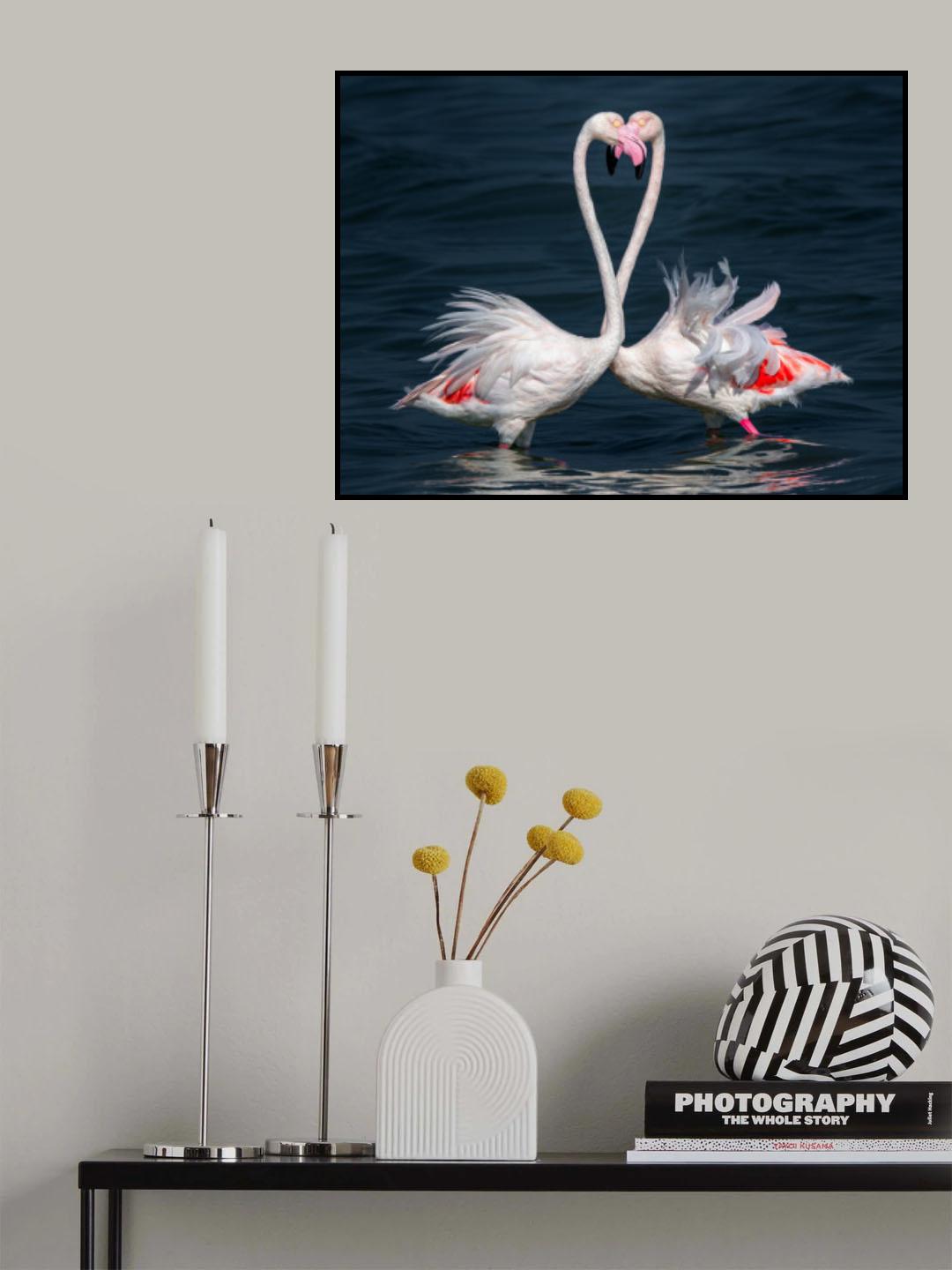 FLAMINGO Poster och Canvastavla