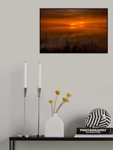 September evening Poster och Canvastavla