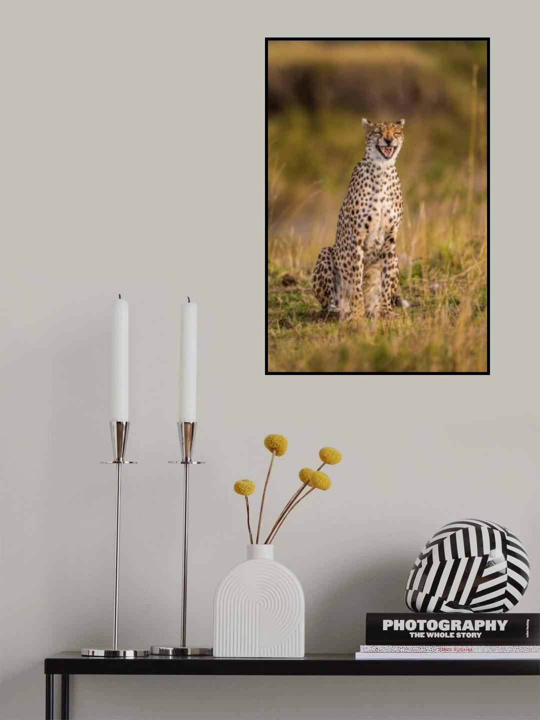 Funny Cheetah Poster och Canvastavla
