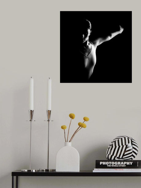 n/t Poster och Canvastavla
