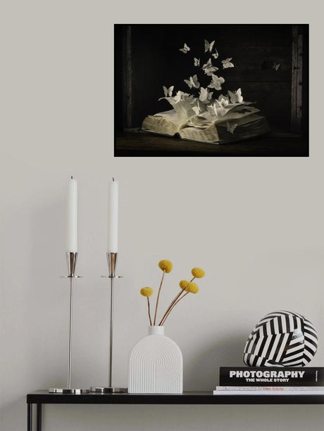 Lepidopterology Poster och Canvastavla
