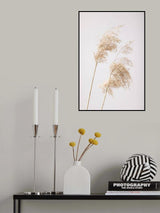 Reed Grass Grey 05 Poster och Canvastavla