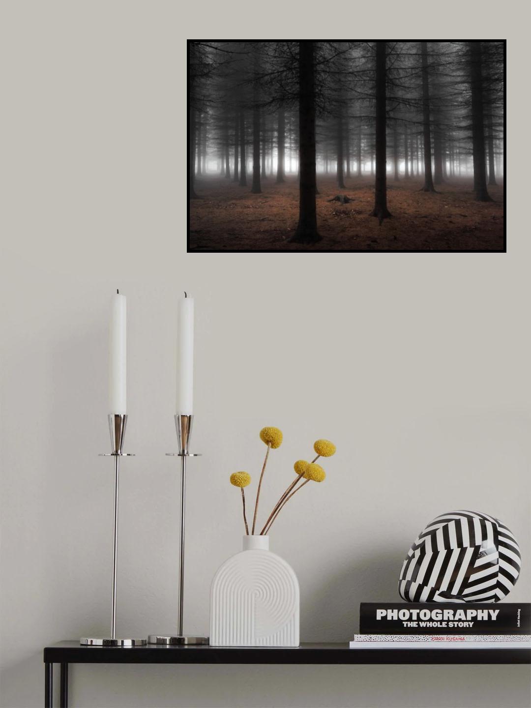 Silence Poster och Canvastavla