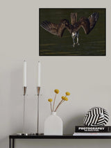 W Poster och Canvastavla
