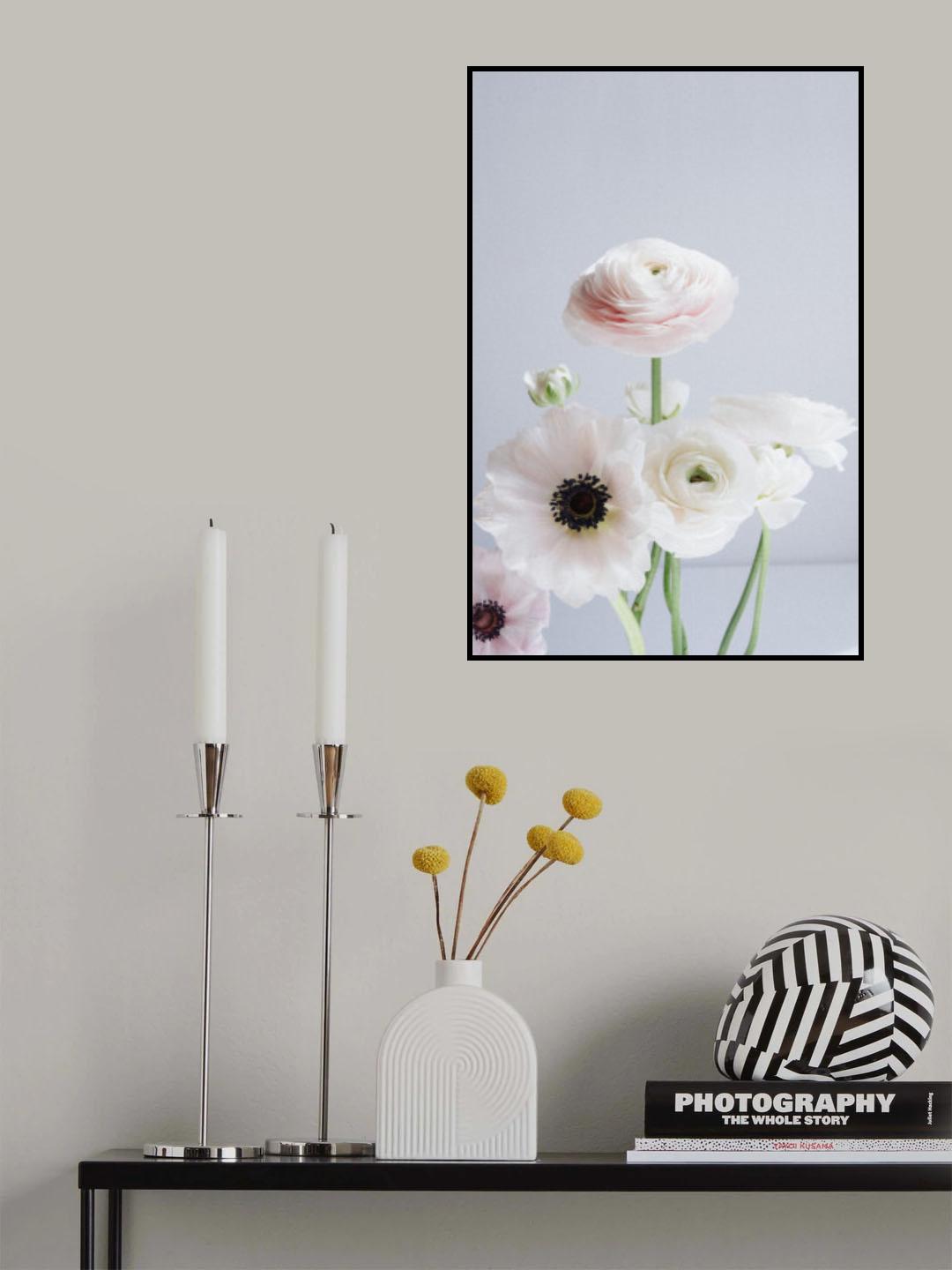 Ranunculus and Anemones Poster och Canvastavla