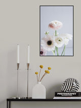 Ranunculus and Anemones Poster och Canvastavla