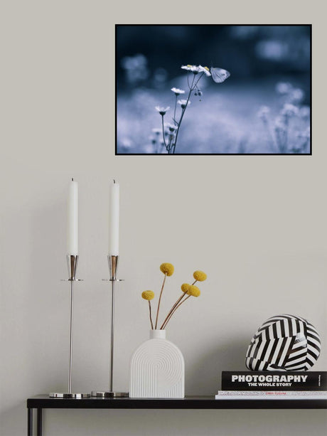 Small Butterfly Poster och Canvastavla