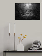 The Darkside Poster och Canvastavla