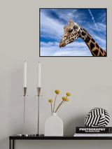 Head in the clouds Poster och Canvastavla