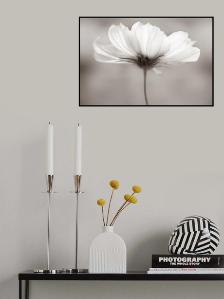 Cosmos Poster och Canvastavla