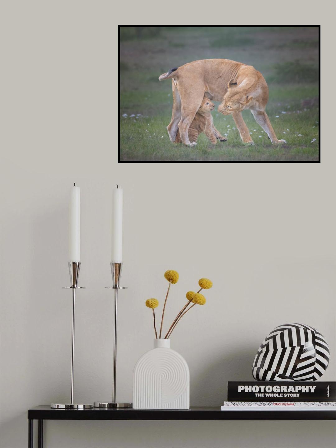 Care Poster och Canvastavla