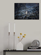 Coming home Poster och Canvastavla