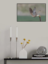 Taking off Poster och Canvastavla