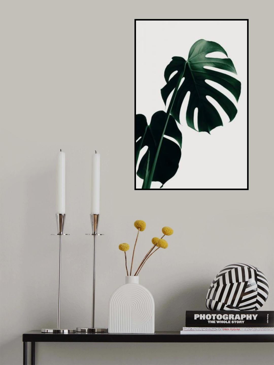 Monstera Natural 03 Poster och Canvastavla