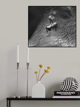 To follow the shadow... Poster och Canvastavla