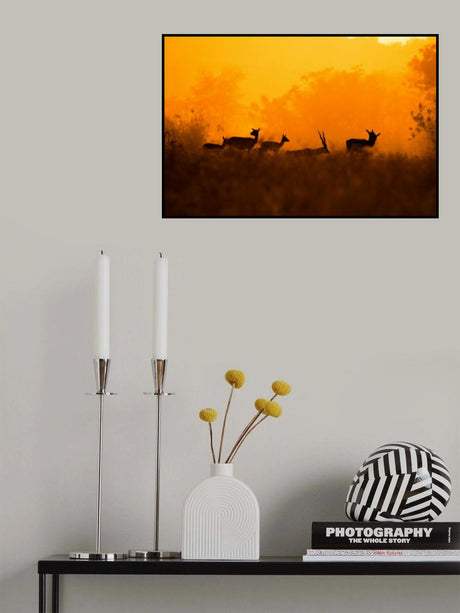 An evening in Nature Poster och Canvastavla