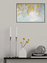 Silver Birch Leaves On Blue Sky Poster och Canvastavla