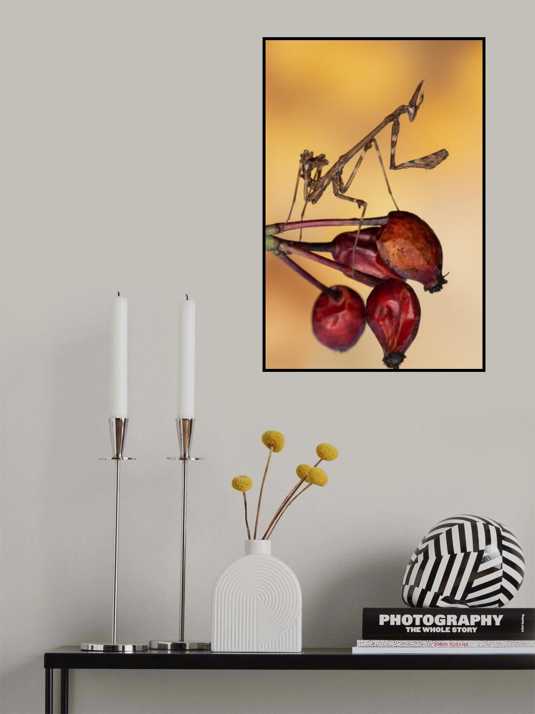 Alien Poster och Canvastavla