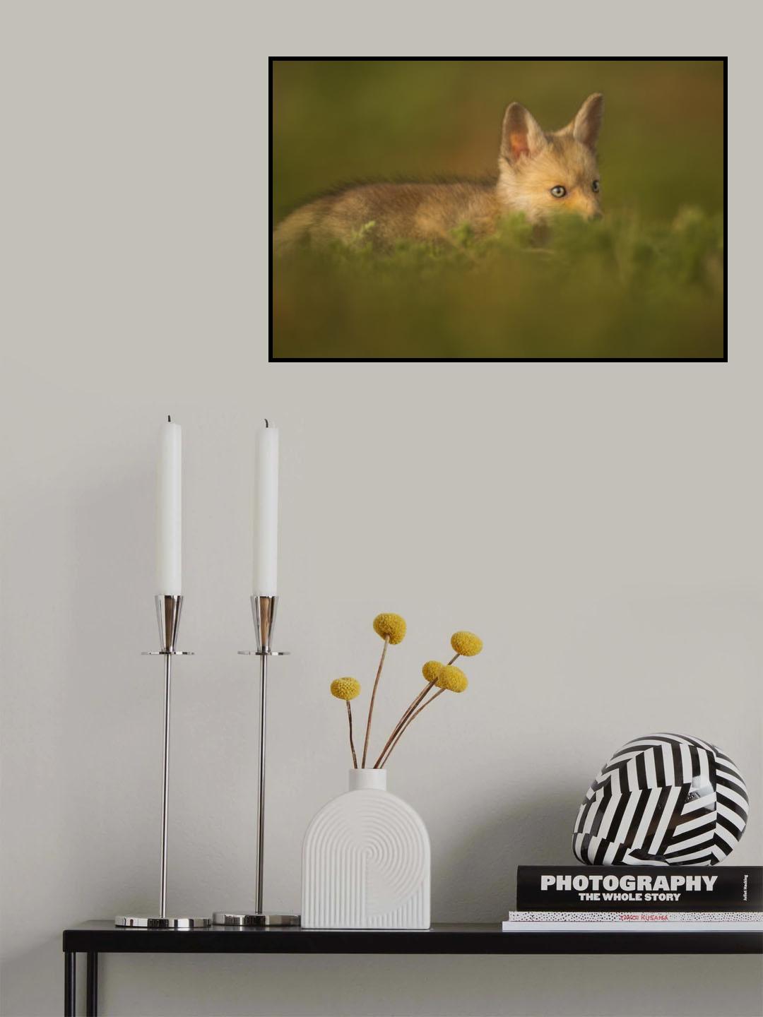 Little Fox Poster och Canvastavla