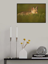 Little Fox Poster och Canvastavla