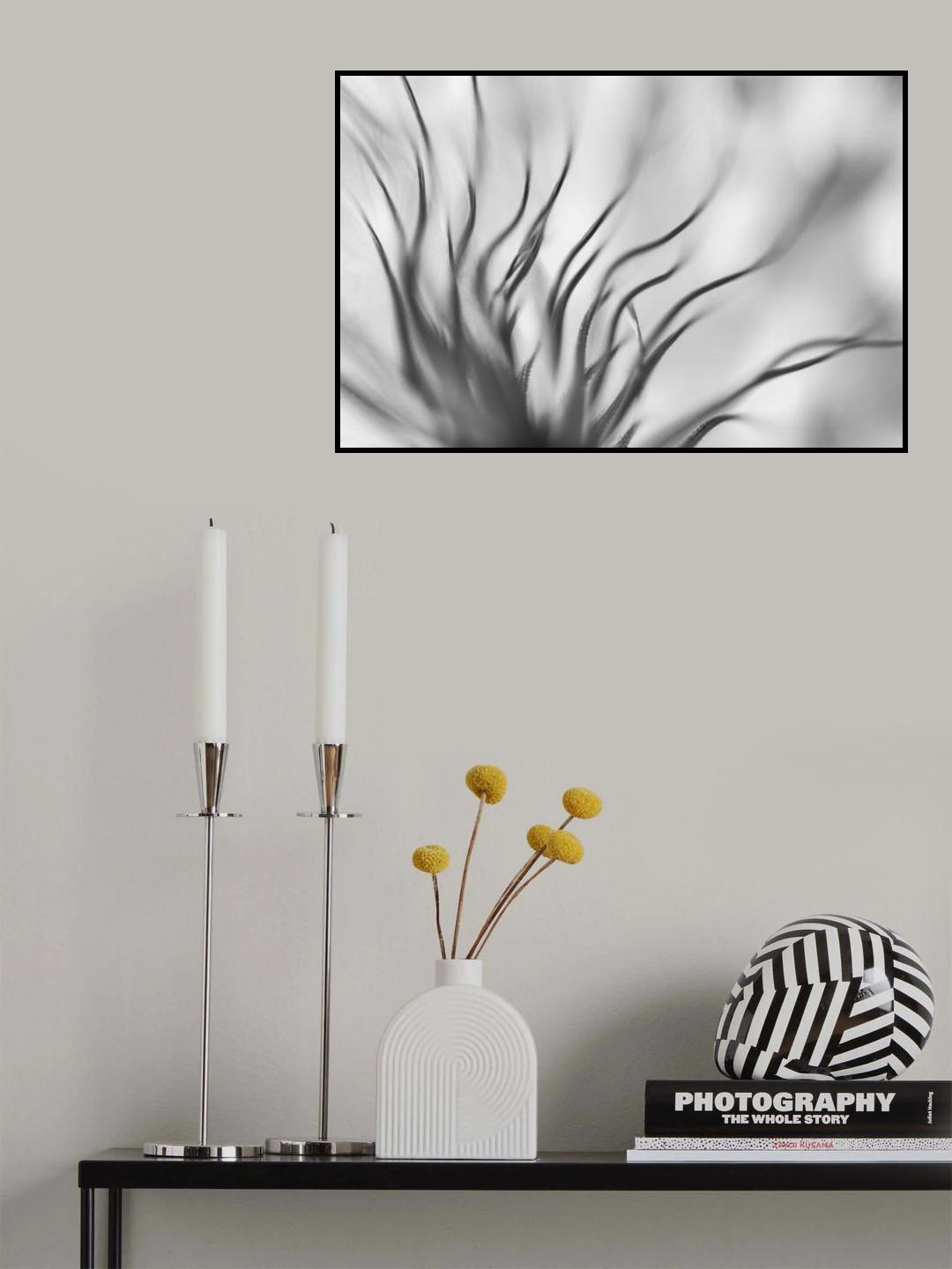 Poster och Canvastavla