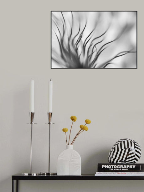 Poster och Canvastavla