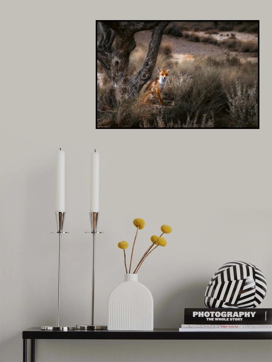 Zorry Poster och Canvastavla
